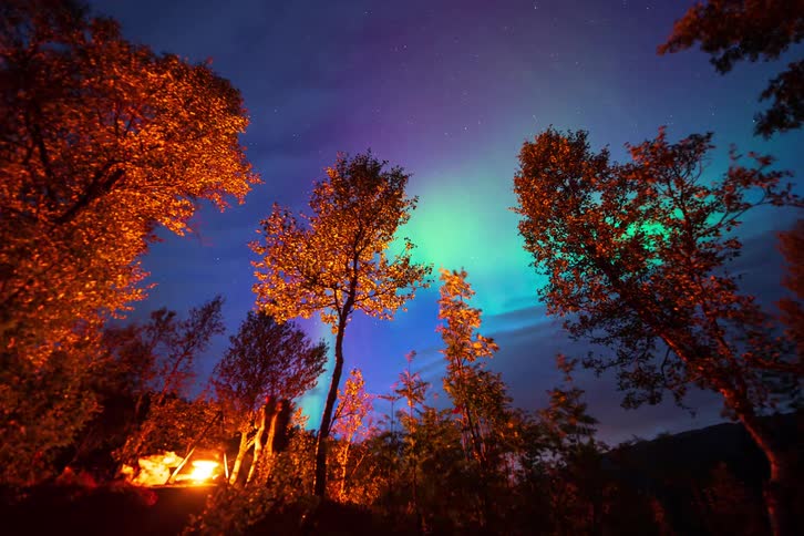 A low-angle timelapse captures the vibrant Northern Lights dancing in the starry night sky above a warm campfire in an autumn forest
