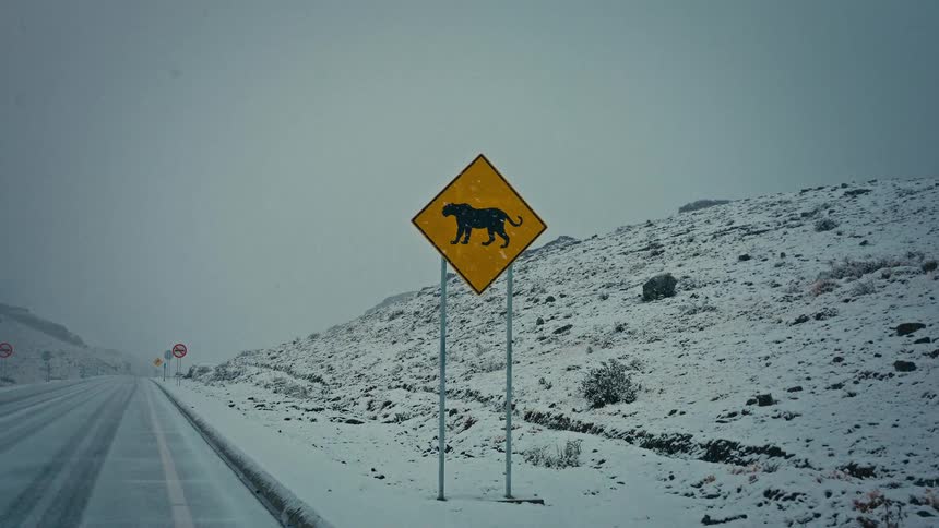 A point-of-view shot driving slowly past a wildcat crossing sign on a desolate, snow-covered road during a winter storm
