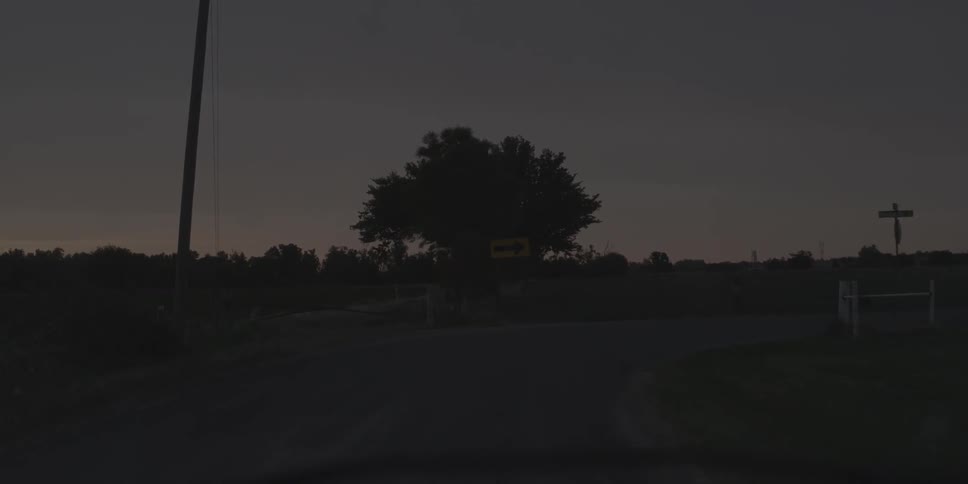 The field is dark with a large tree by a road