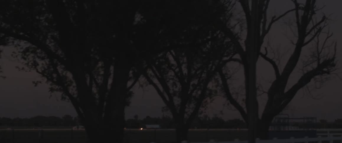 The field is lined with a fence at dawn