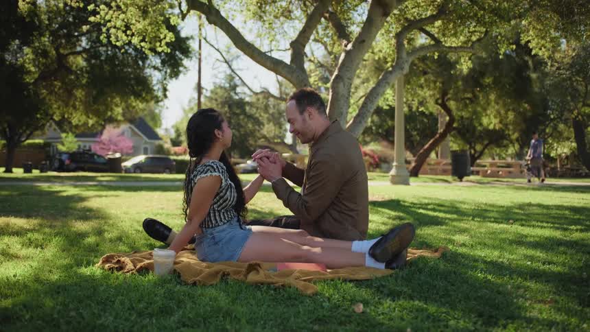 An affectionate couple sits on a blanket under a tree in a sunny park, holding hands and looking lovingly at each other