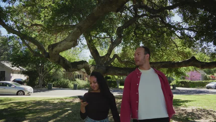 A slow tilt down reveals a young couple standing beneath the vast branches of an old oak tree in a sunny park