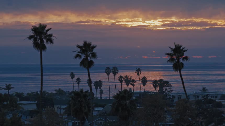 A beautiful purple and golden sunset reflects on the calm ocean behind silhouetted palm trees in a coastal town