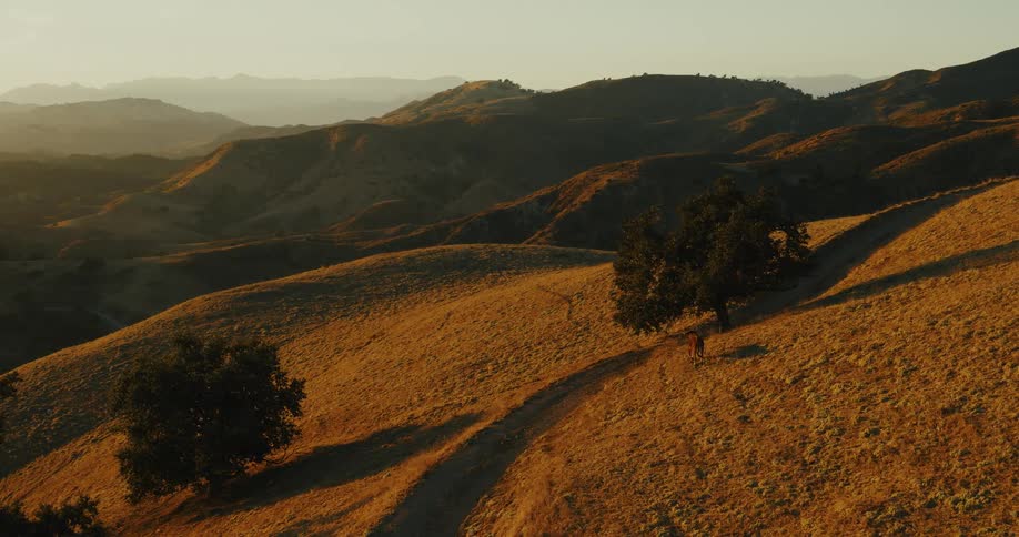 A couple hikes along a dirt trail through golden rolling hills during a beautiful sunset