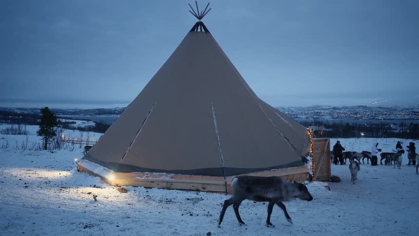 A reindeer walks past a traditional Sami lavvu tent in a snowy landscape at dusk in Norway