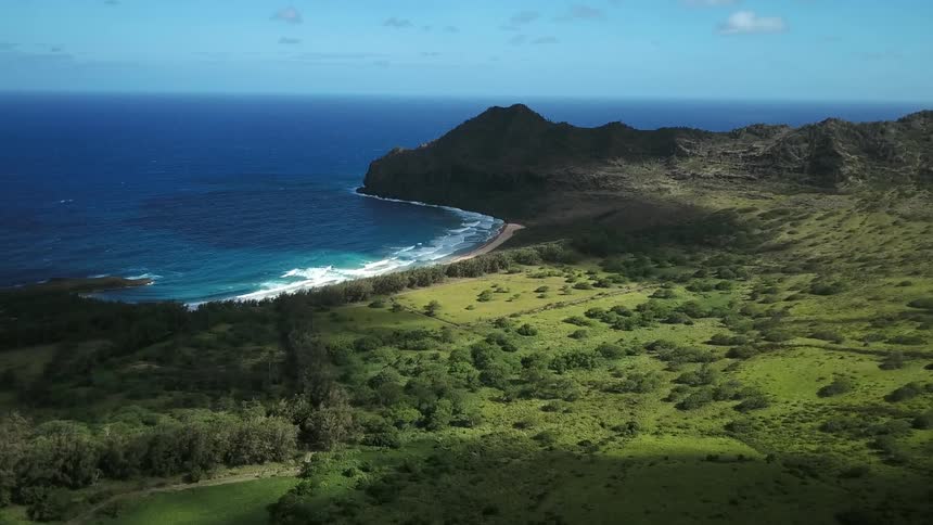 Blue ocean waters flowing onto beach surrounded by lush green coast land