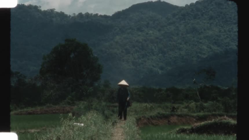 Vintage footage of a farmer in a conical hat walking through a lush green rice paddy with mountains in the background