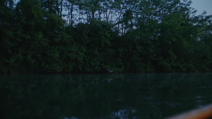 In the quiet of dusk, a wild bird skims the surface of a placid river, its reflection following below