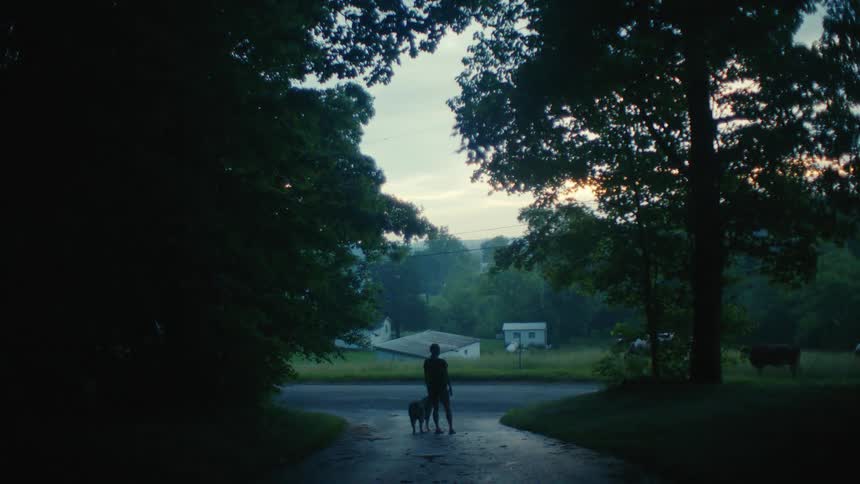 A silhouetted person and their dog stand at the end of a rural driveway, looking out at the quiet landscape during a peaceful sunrise