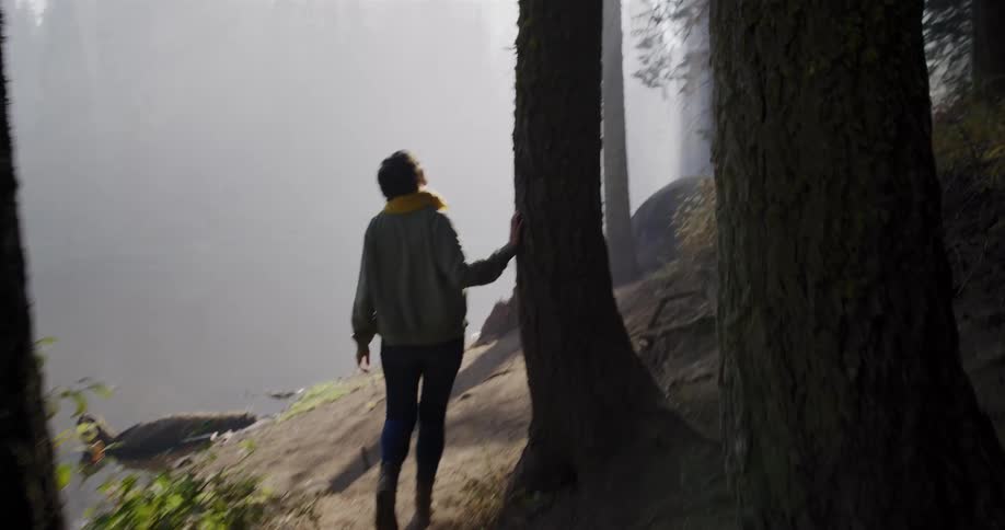 A contemplative person takes a slow, peaceful walk on a forest path alongside a misty lake as beautiful sunlight filters through the trees