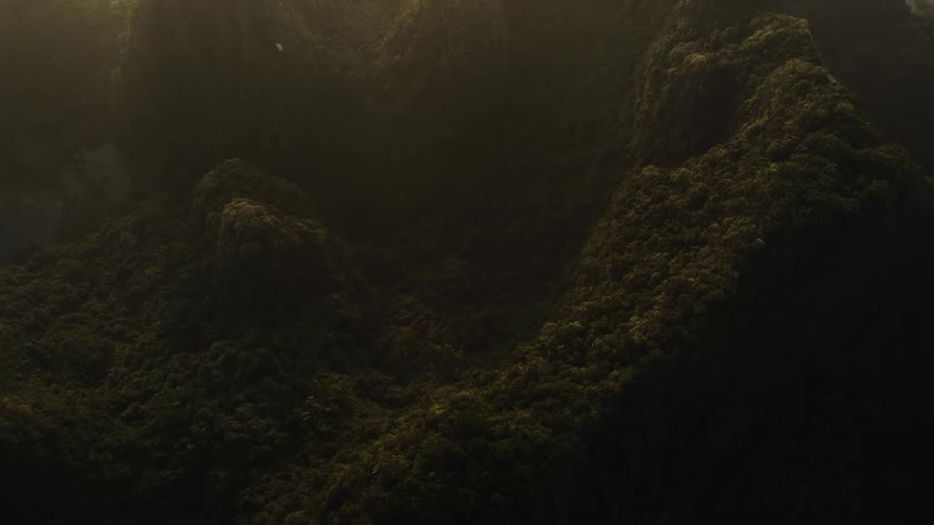 An epic aerial view slowly reveals a vast, dense jungle blanketing rolling mountains in atmospheric morning mist
