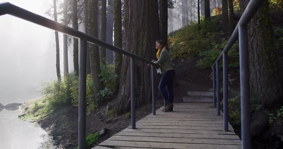 A woman takes in the serene view of a misty lake from a wooden walkway in a sunlit redwood forest