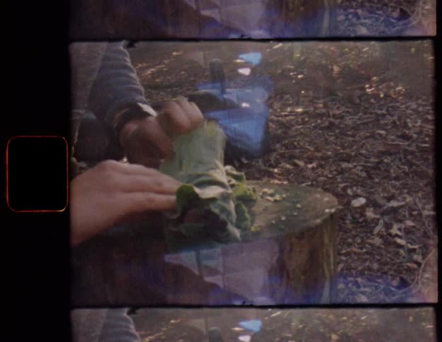 Authentic vintage 8mm film shows a person wrapping food in leaves on a tree stump in the woods