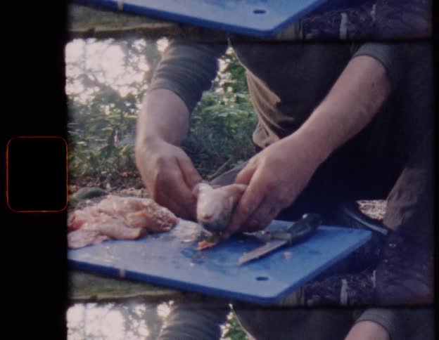 Vintage Super 8 footage captures a man's hands as he cleans and fillets a freshly caught fish outdoors