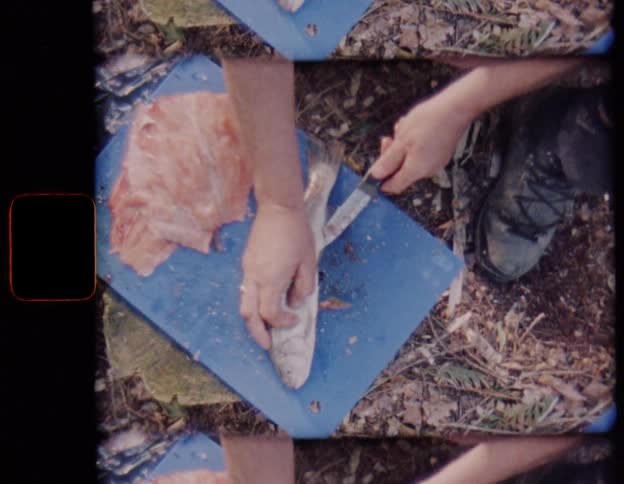 Vintage Super 8 film captures an overhead view of a person cleaning and filleting a freshly caught fish on a blue cutting board outdoors