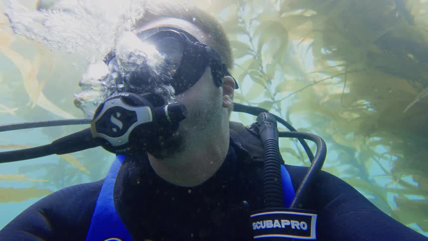 Awe-struck scuba diver breathes in slow motion while taking a selfie floating through a beautiful sunlit kelp forest