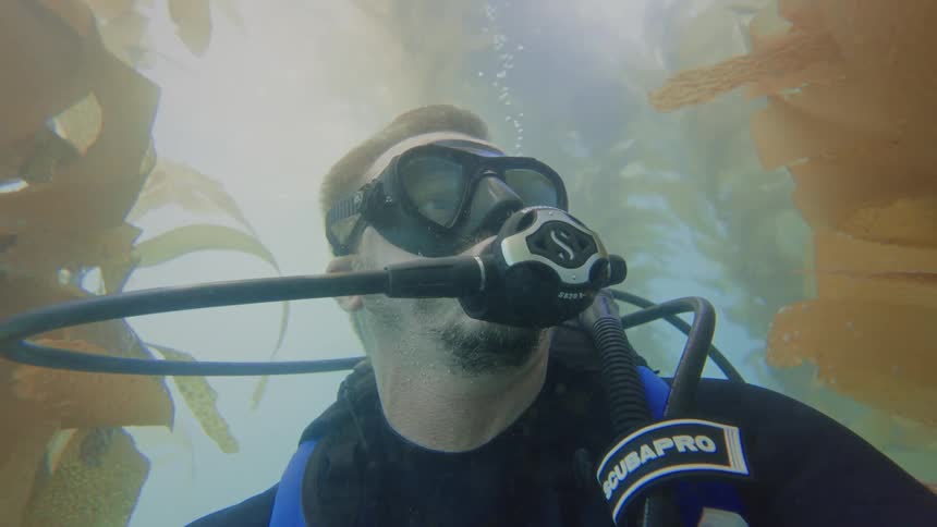 Slow motion close-up of a scuba diver breathing underwater while surrounded by a giant kelp forest