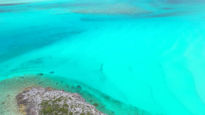 An aerial shot pulls back from the sandy bottom of a clear turquoise ocean to reveal a vast tropical seascape
