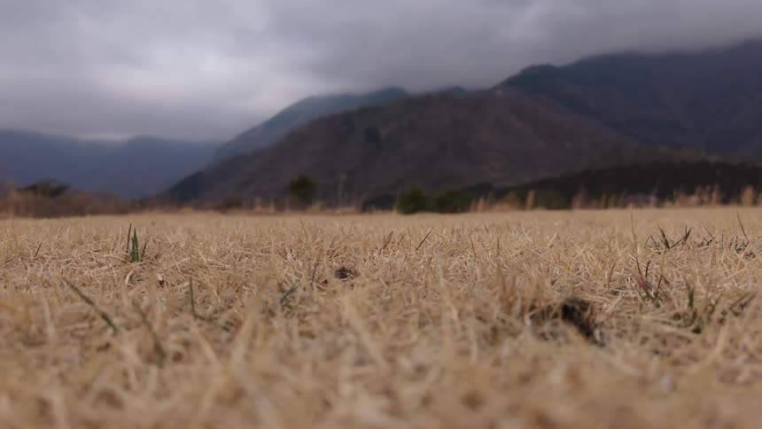 A distant paraglider soars over a vast, dry field at the base of mountains on a cloudy day