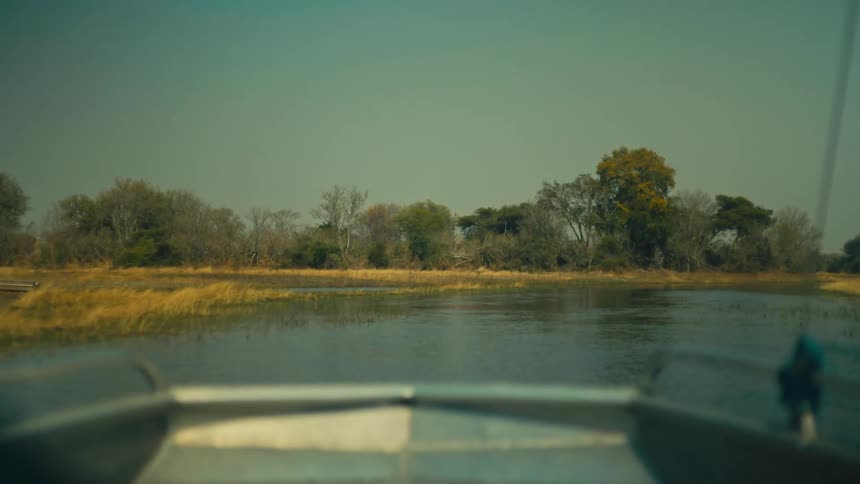 A dreamy, slow point-of-view shot from a safari boat on a river observing wildlife on the banks before the background blurs