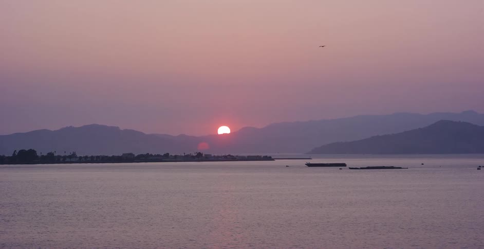 A serene pink and purple sunset over a calm sea with distant mountains and a lone bird flying in the sky