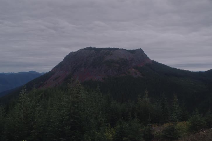 A rugged mountain peak covered in a dense forest stands beneath a somber, overcast sky