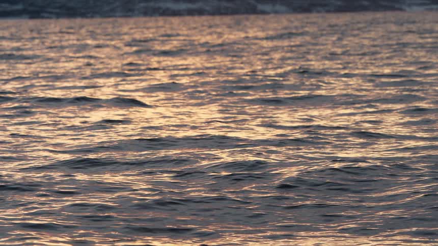 Golden sunset light reflects on the tranquil waters of a fjord with snowy mountains in the background