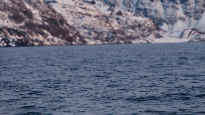 Gentle ocean waves roll in slow motion with a snowy, out-of-focus mountain shoreline in the background