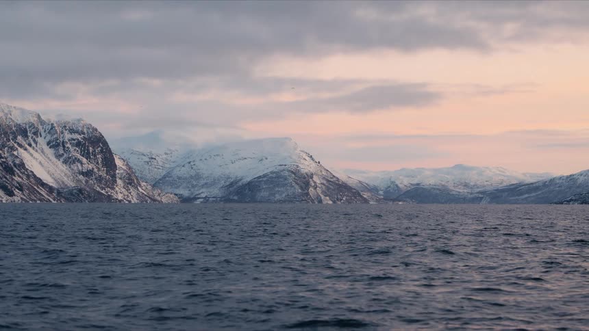 A tranquil sea ripples in front of majestic snow-covered mountains under a soft pastel sky at dusk