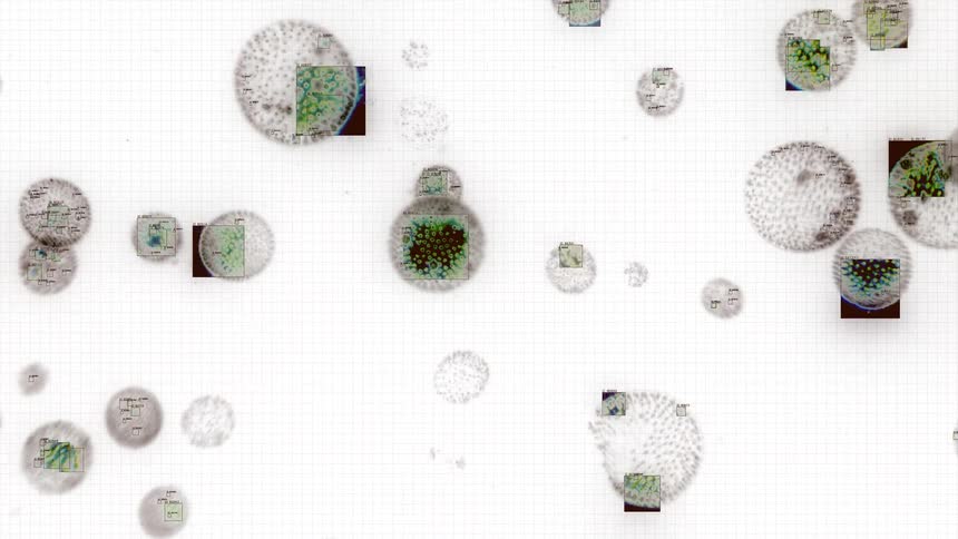 Futuristic animation displays a digital analysis of microscopic cells on a clean white grid