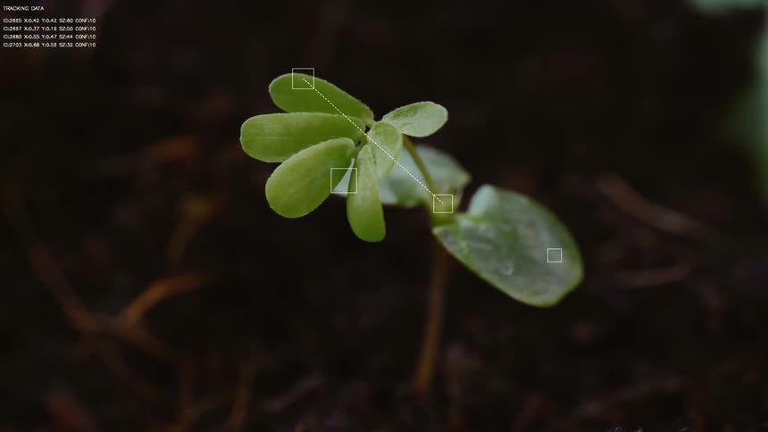 Advanced agricultural technology uses AI to monitor and track the growth of a young plant sprout in soil