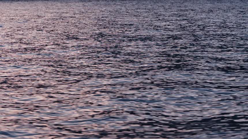 Calm, dark water ripples reflect the gentle pink and purple colors of dusk, with a snowy shoreline visible in the distance