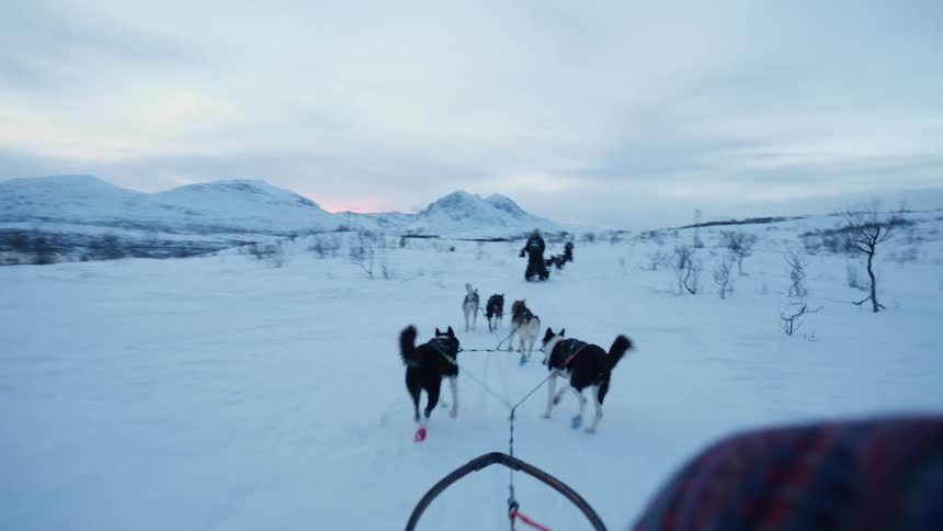 A first-person perspective of a team of energetic sled dogs pulling a sleigh through a vast snowy landscape with mountains in the background at dusk