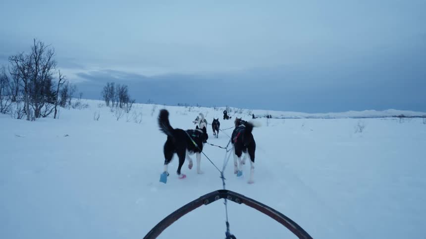A team of sled dogs pulls a sled through a vast, snowy landscape in slow motion