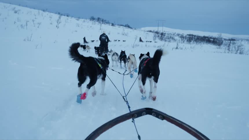 First-person perspective from a sled being pulled by a team of energetic husky dogs running through the snow in slow motion