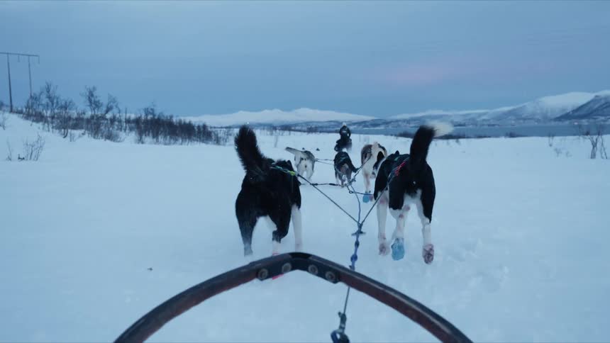 A team of energetic sled dogs wearing colorful booties pull a sled through a vast snowy landscape in a first-person perspective slow-motion shot