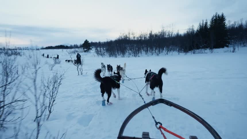 A team of husky sled dogs pull a sled through a vast, snowy landscape from a first-person point of view in slow motion