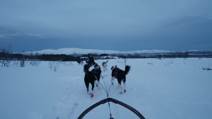 First-person view of a dog sledding team running through a snowy, mountainous landscape at twilight