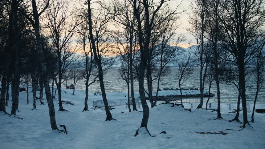 A tranquil winter scene of a snow-covered park with leafless trees overlooking a calm fjord at dusk