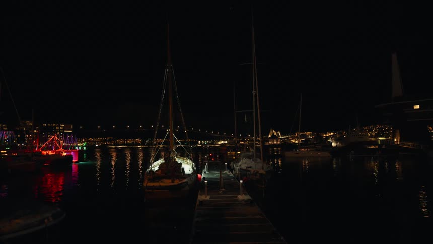 Sailboats decorated with festive lights are docked in a calm harbor at night with the city skyline in the distance
