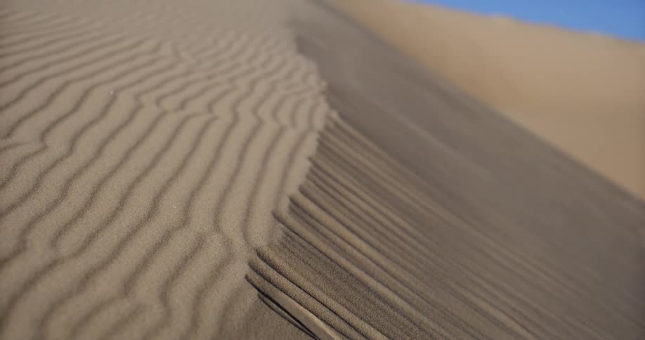 Close-up of wind blowing sand over the intricate ripples of a desert dune