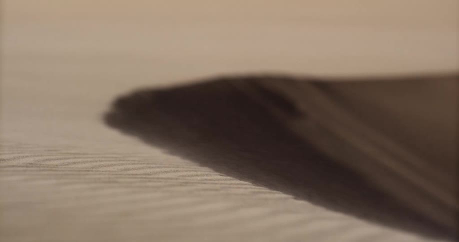 A dramatic close-up captures the fine details of sand blowing over the crest of a dune during a windy day in the desert