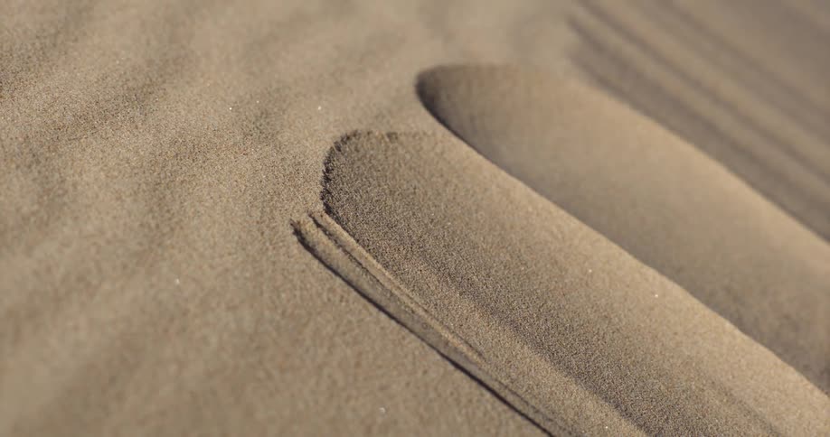 A mesmerizing macro shot shows wind sculpting the surface of a sand dune