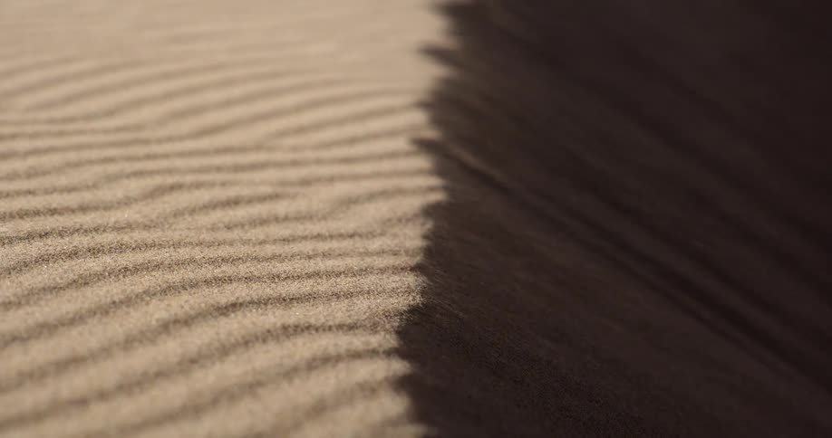 Wind blows grains of sand across the rippled texture of a sunlit dune in the desert
