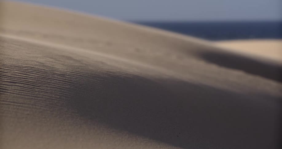 Fine grains of sand blow across the windswept surface of a coastal dune with the ocean in the background