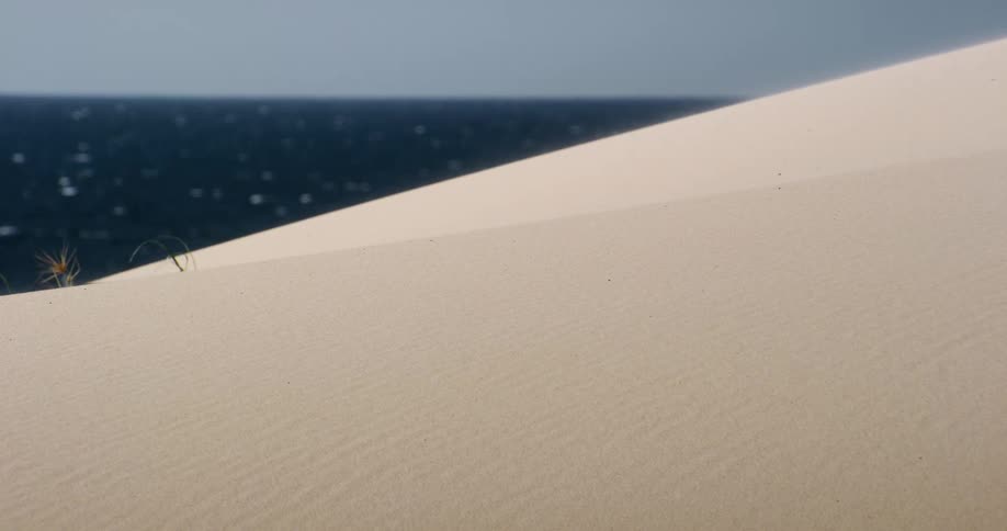 Fine grains of sand blow across a smooth, sunlit dune with the deep blue ocean visible in the background
