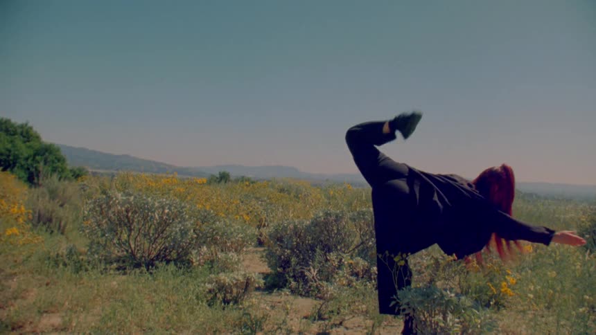 A person with long red hair gracefully performs powerful martial arts kicks in slow motion in a sun-drenched wildflower field