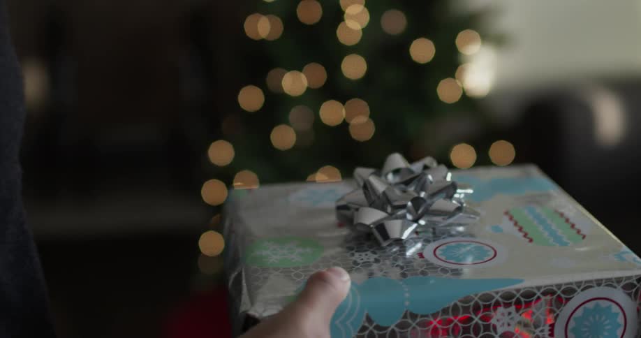 A person carries a gift to a tree