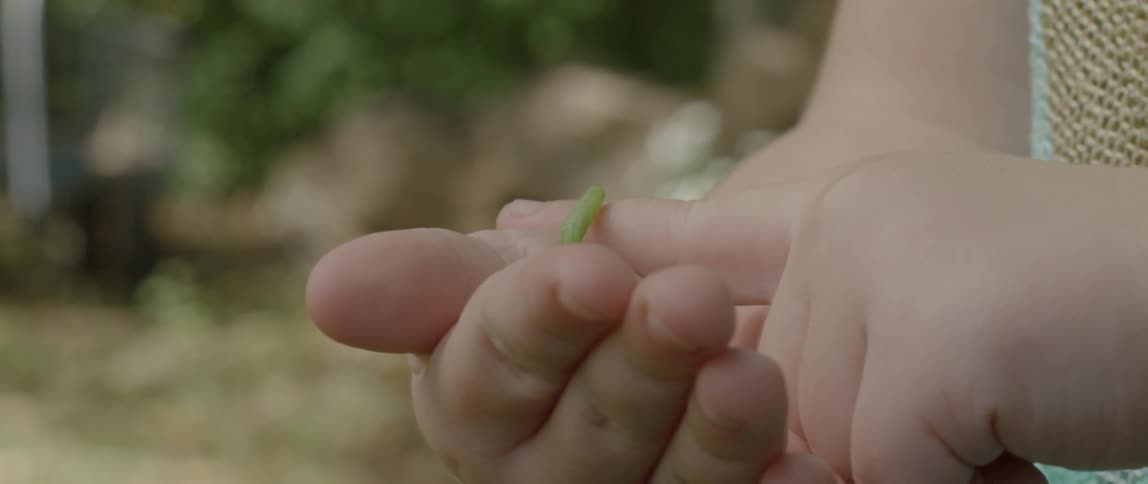 A small bug is crawling on someone's fingers