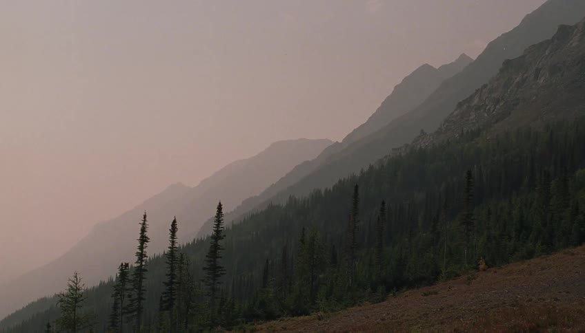 A vast mountain landscape shows layers of peaks fading into a hazy horizon above a thick evergreen forest